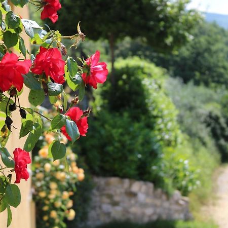 Bed & Breakfast Casa Lisetta Valtopina エクステリア 写真