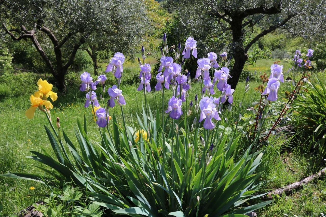 Bed & Breakfast Casa Lisetta Valtopina エクステリア 写真
