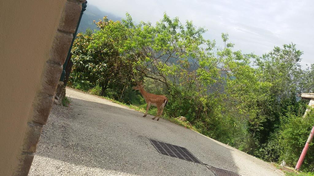 Bed & Breakfast Casa Lisetta Valtopina エクステリア 写真