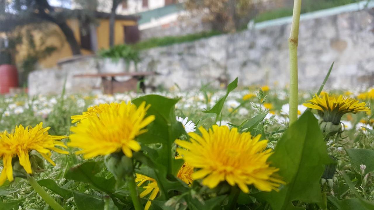 Bed & Breakfast Casa Lisetta Valtopina エクステリア 写真
