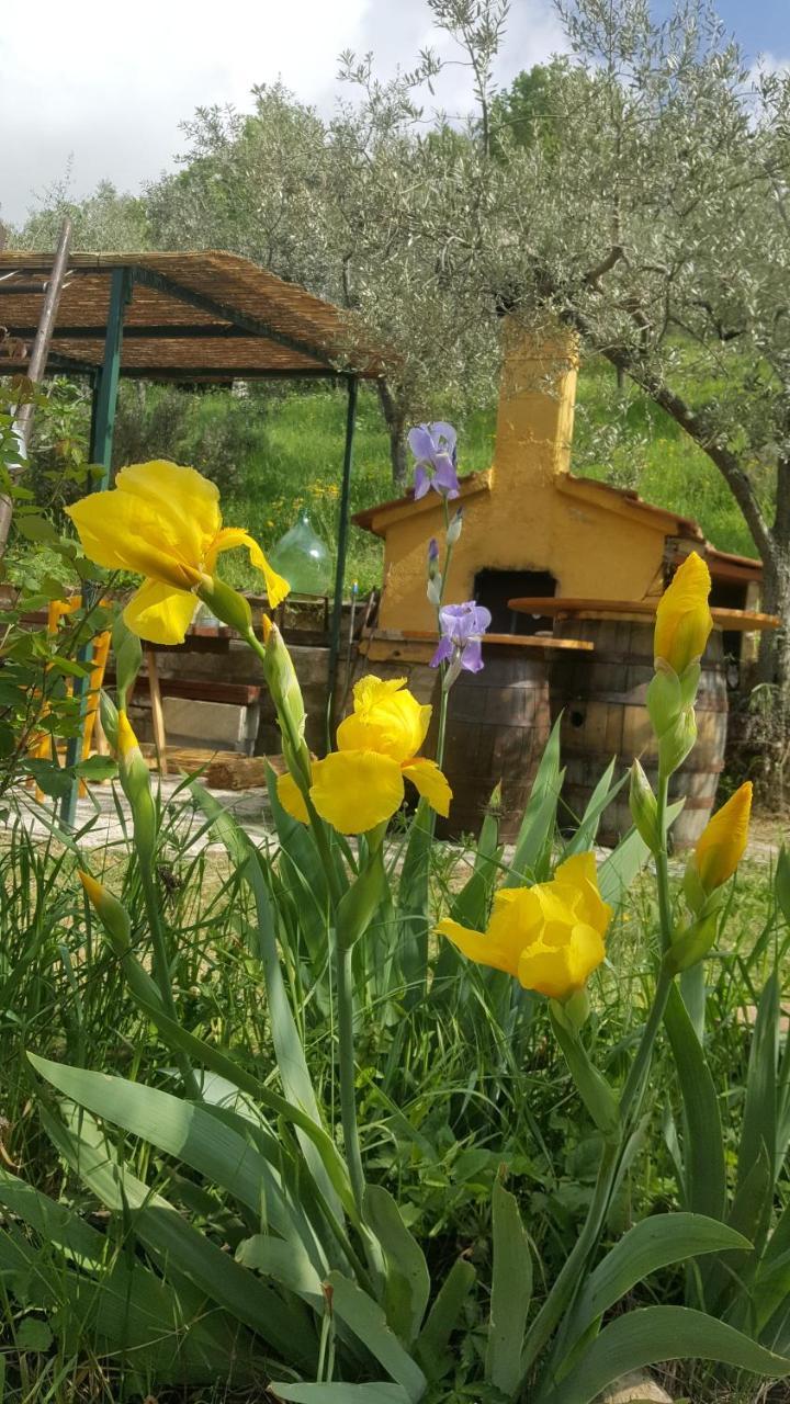 Bed & Breakfast Casa Lisetta Valtopina エクステリア 写真