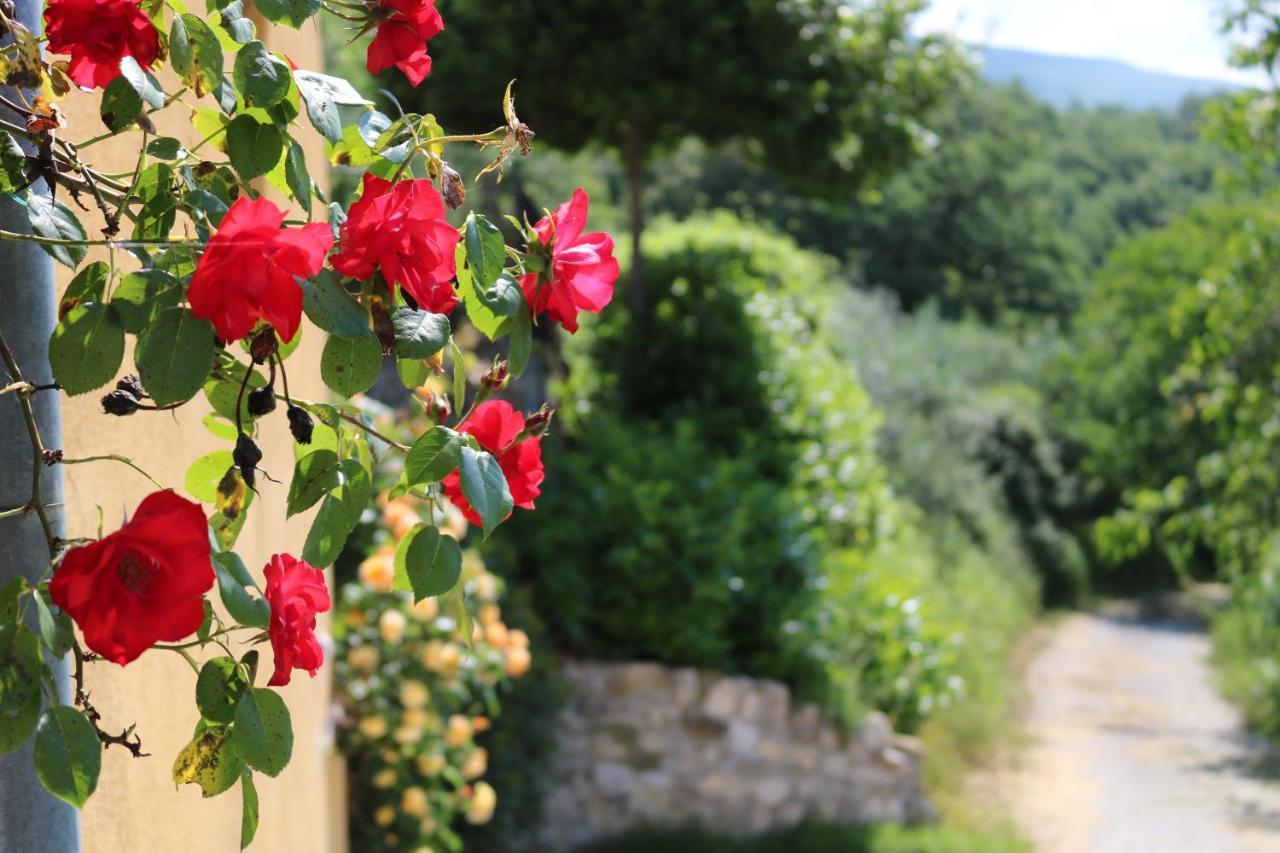 Bed & Breakfast Casa Lisetta Valtopina エクステリア 写真