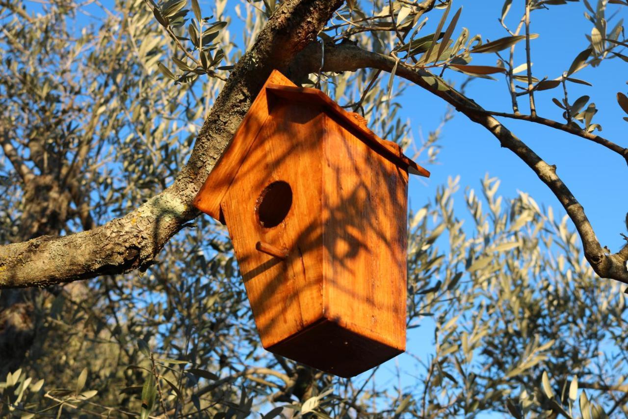 Bed & Breakfast Casa Lisetta Valtopina エクステリア 写真